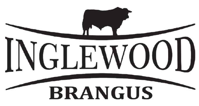 Inglewood Brangus
